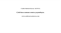 Desktop Screenshot of caddesurucukursu.com