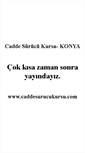 Mobile Screenshot of caddesurucukursu.com