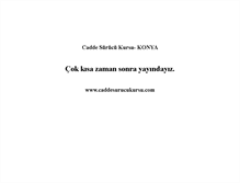 Tablet Screenshot of caddesurucukursu.com